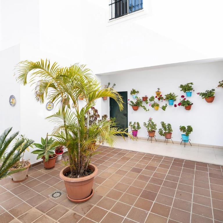 Piso arquillo del reloj - Apartamento Superior con vistas a la ciudad - 24