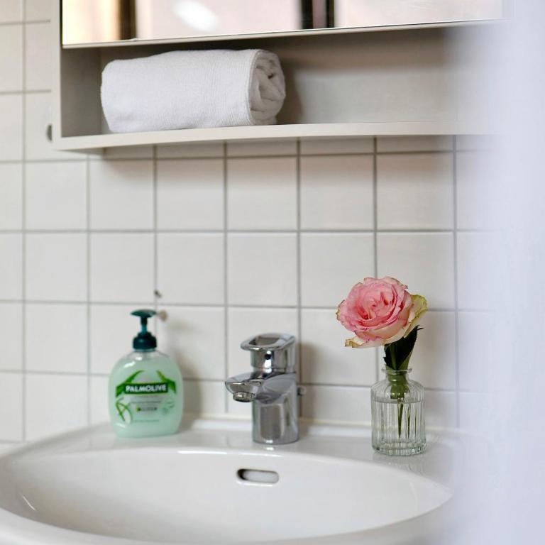 1 Zimmer-appartment Nr 21 - Apartment mit Dusche - 14