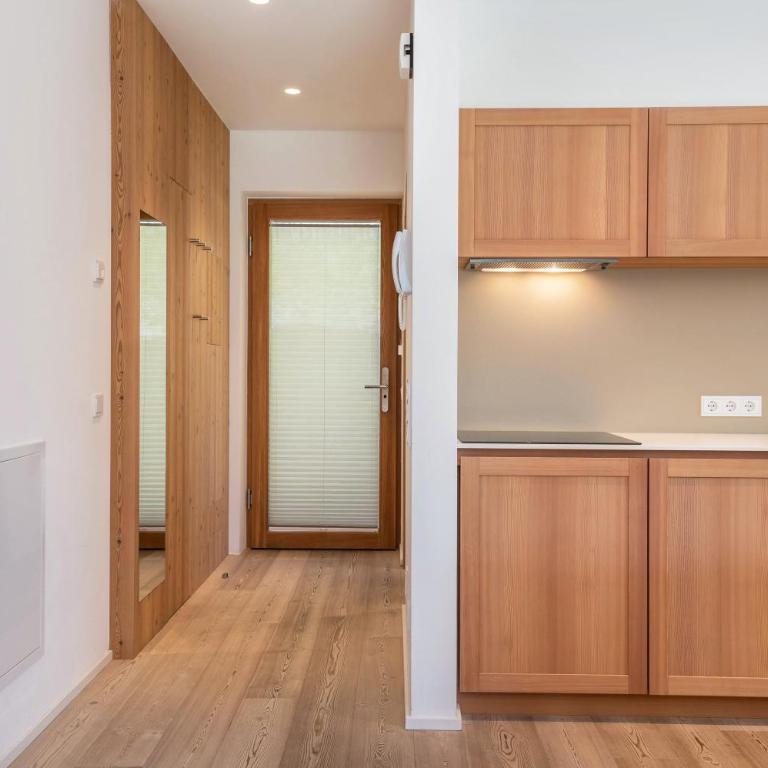Vista Dolomites Apartment Liberty - Appartamento Superior con 1 Camera da Letto e Balcone - 14