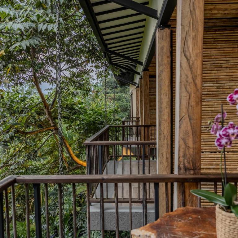 Tukki Ecolodge Hotel - Suite Junior - 22
