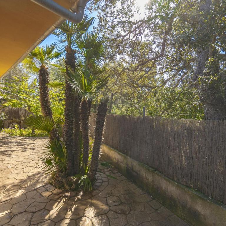 Villa El Mal Pas / Can Seguinet - Villa con piscina privada - 28