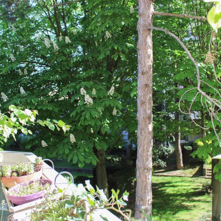 Appart 86m avec balcons parking au calme - Appartement - 29