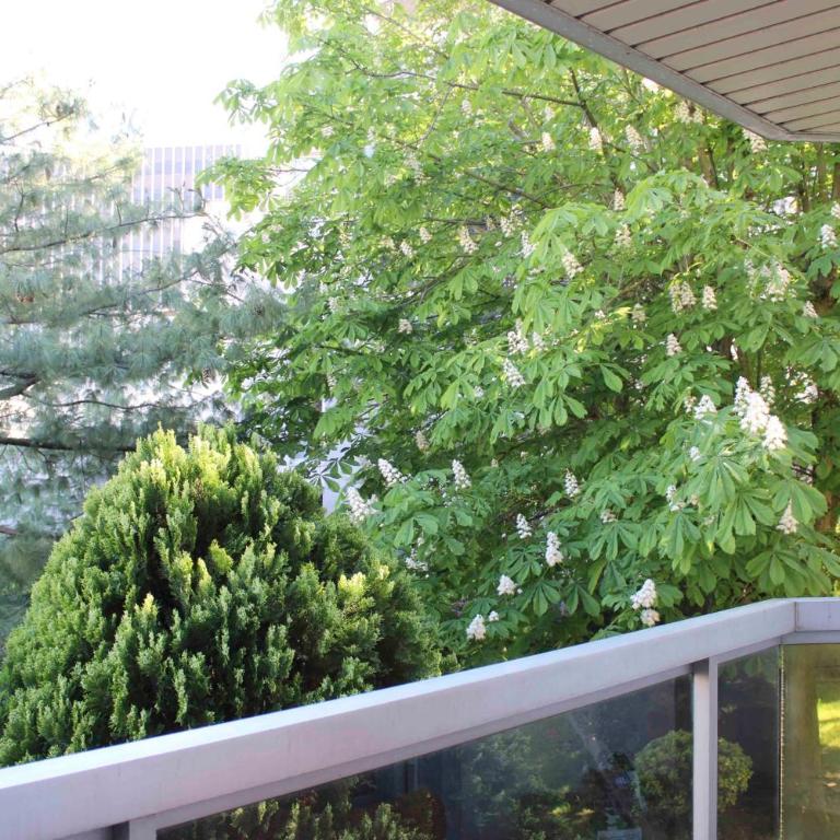 Appart 86m avec balcons parking au calme - Appartement - 30