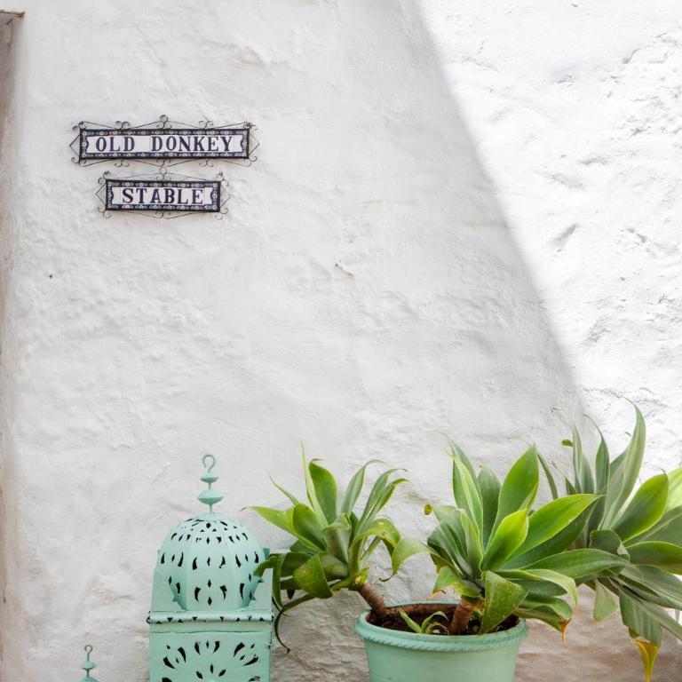 Traditional House in Mijas with Patio and Cave - Habitación Individual - 11