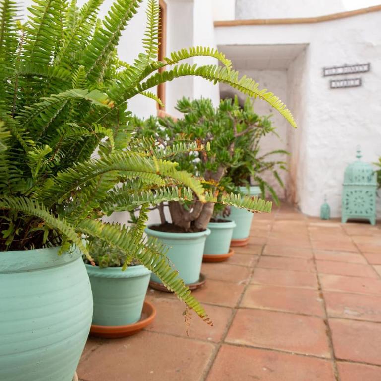 Traditional House in Mijas with Patio and Cave - Habitación Individual - 9