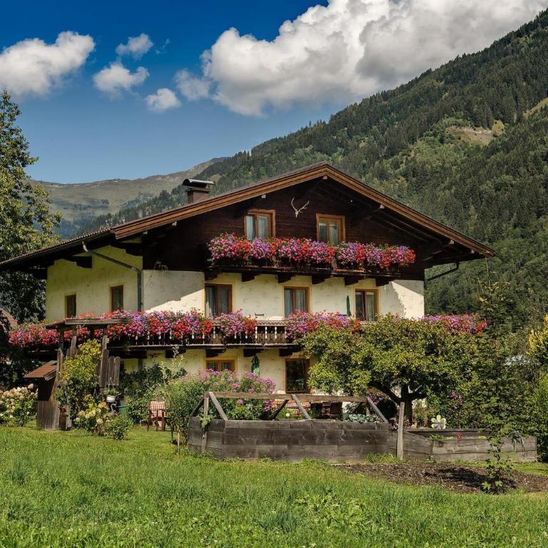 Haus Knapp FeWo Gastein - Apartment mit 1 Schlafzimmer - 2