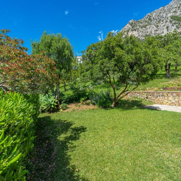Cubo's Finca Juan Benitez Santa Cruz - Casa - 56