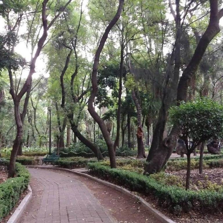 Narvarte 2BR/2BA Entire Apt | Parque Delta - Apartment - 53
