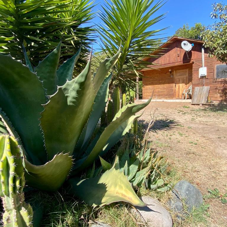 Refugio Escondido - One-Bedroom House - 20