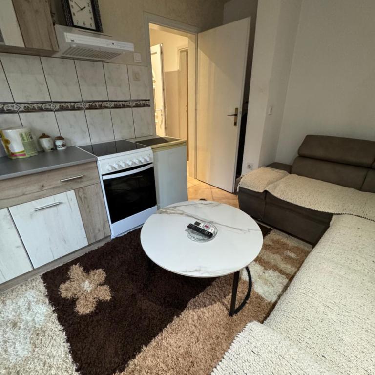 Zecevic apartments - One-Bedroom Apartment with Terrace - 7