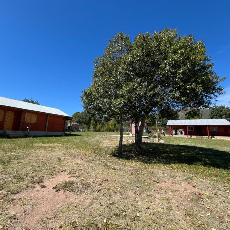 Cabañas del Valle - One-Bedroom Chalet - 4