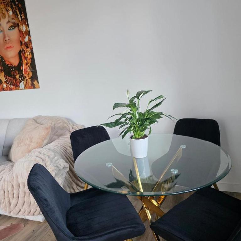 Le Joyau du lac - Apartment mit 1 Schlafzimmer - 21