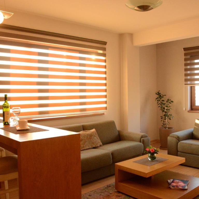 Apartments Villa Splendor - Apartman sa Terasom - 7