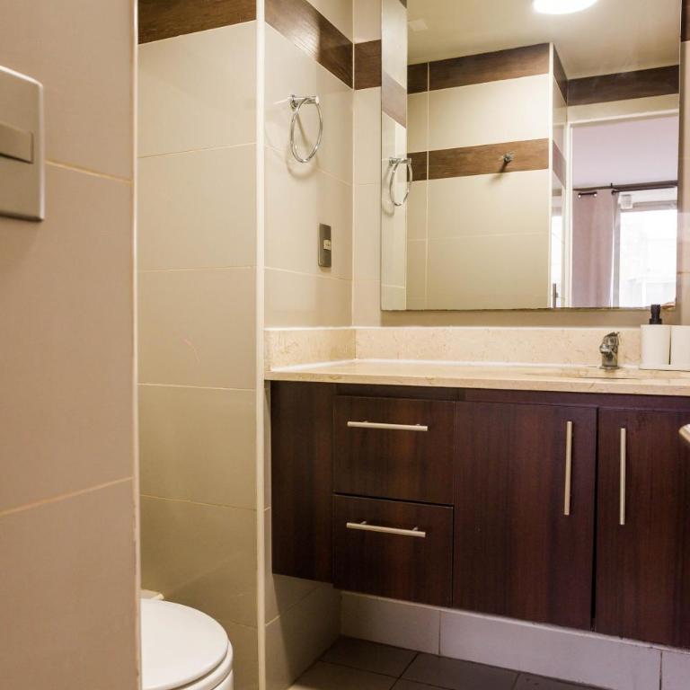 Live Providencia from your cozy home - Apartment - 22