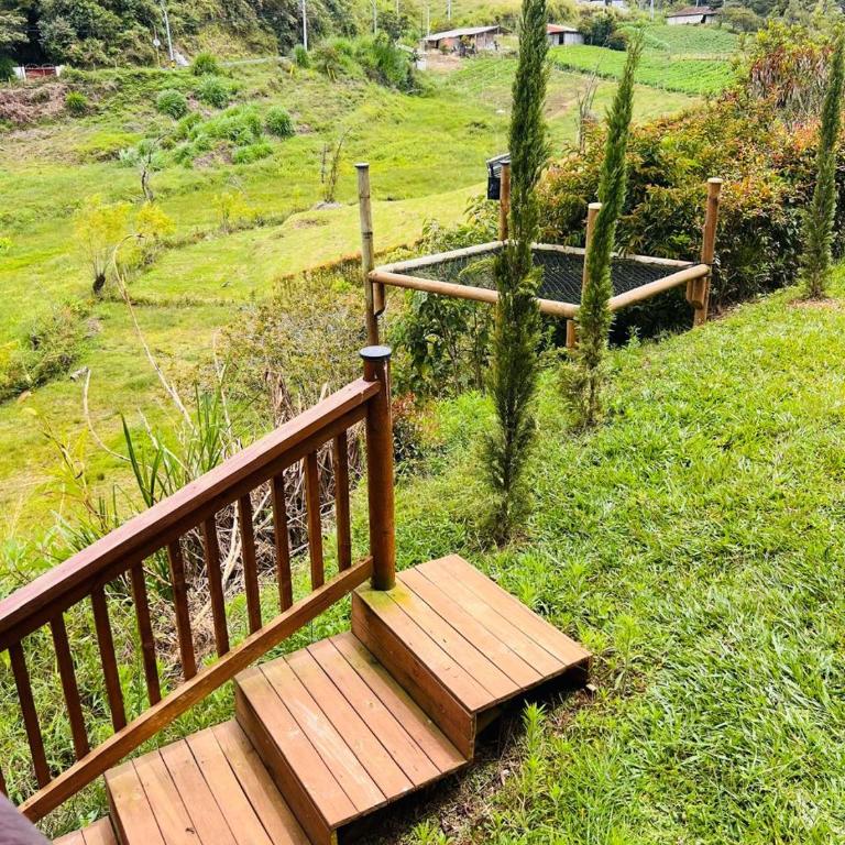 Cabaña Premium - One-Bedroom Apartment - 30