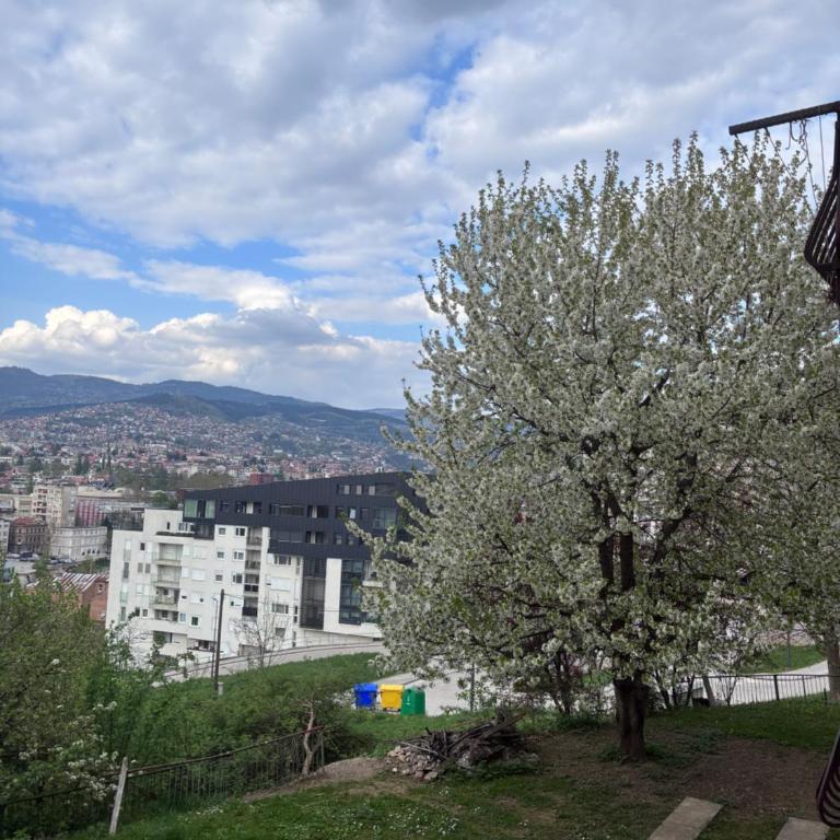 Borak Relax apartments - Apartman sa 1 Spavaćom Sobom - 20