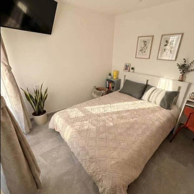 Narvarte 2BR/2BA Entire Apt | Parque Delta - Apartamento - 21