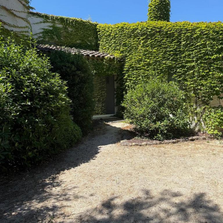 Belle Sorgue Les 3 Oliviers - Maison 5 Chambres - 43
