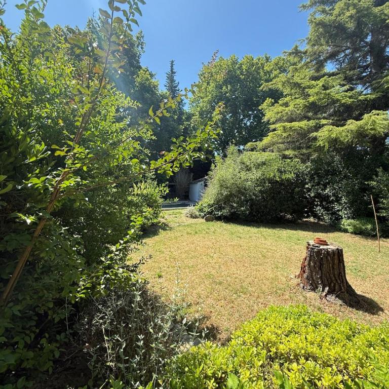 Belle Sorgue Les 3 Oliviers - Maison 5 Chambres - 51