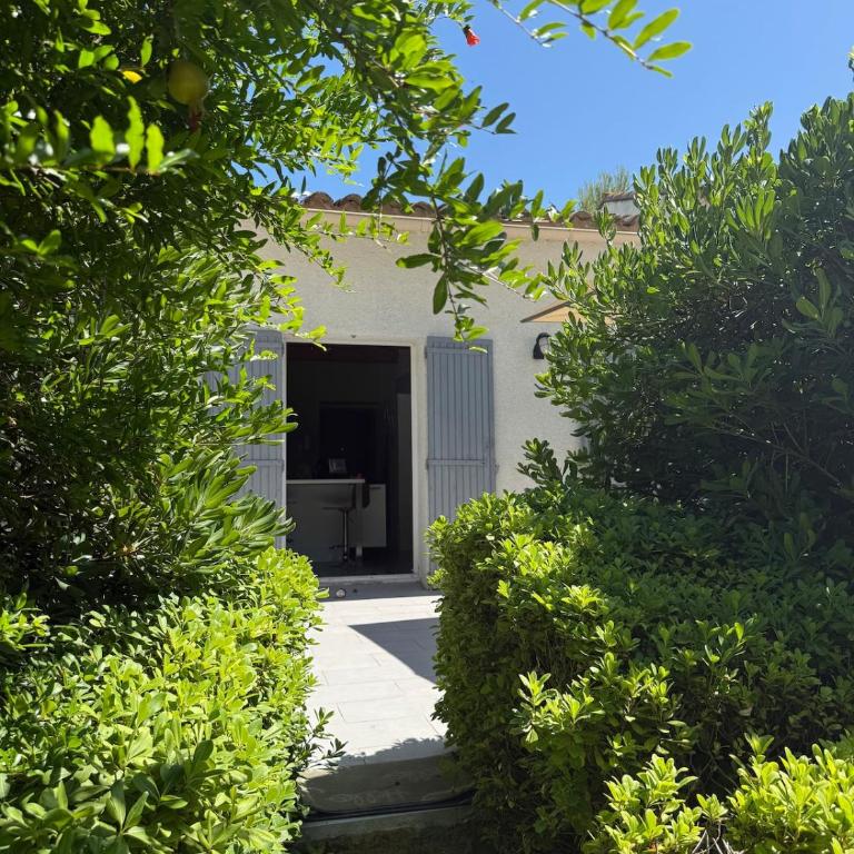 Belle Sorgue Les 3 Oliviers - Maison 5 Chambres - 67