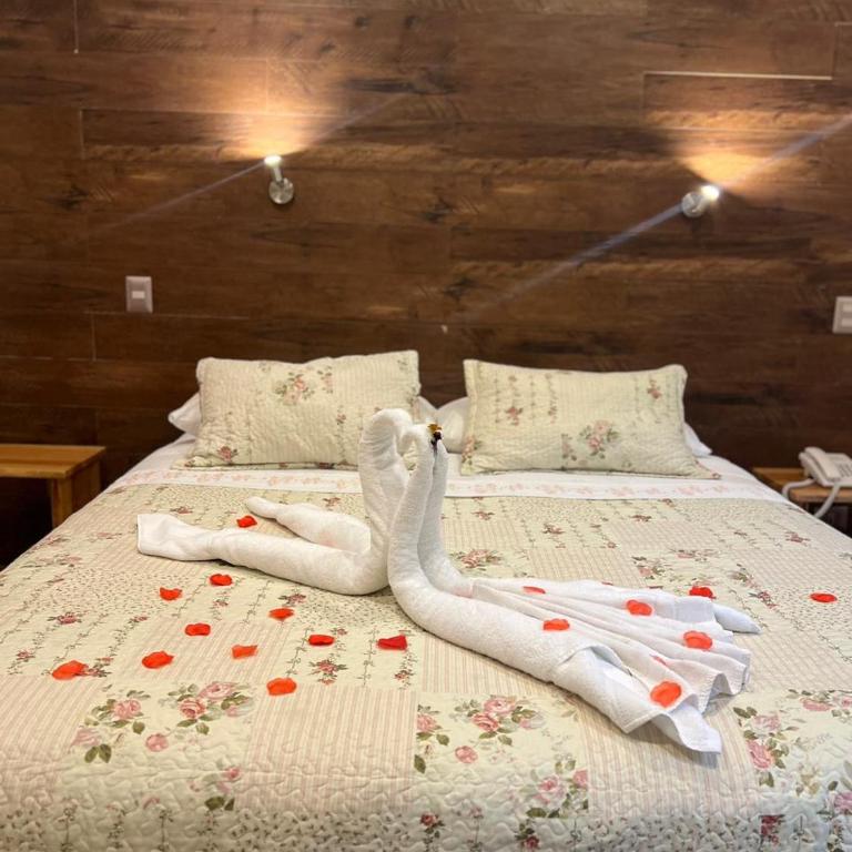 Hotel Termas de San Luis - Deluxe Double Room - 2