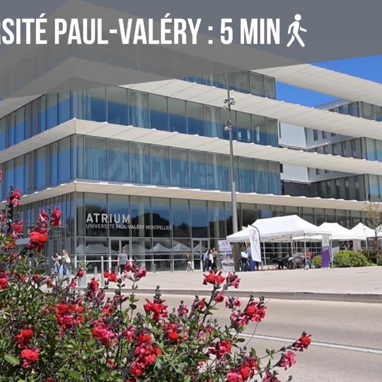 La Canopée - Hopitaux Facultés - Parking Gratuit - Apartamento de 1 dormitorio - 12