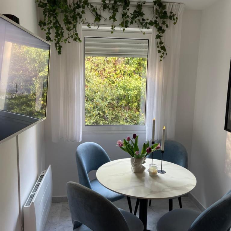 Stunning Monaco View Large Terrace 70 sqm - Appartement 3 Chambres - 27