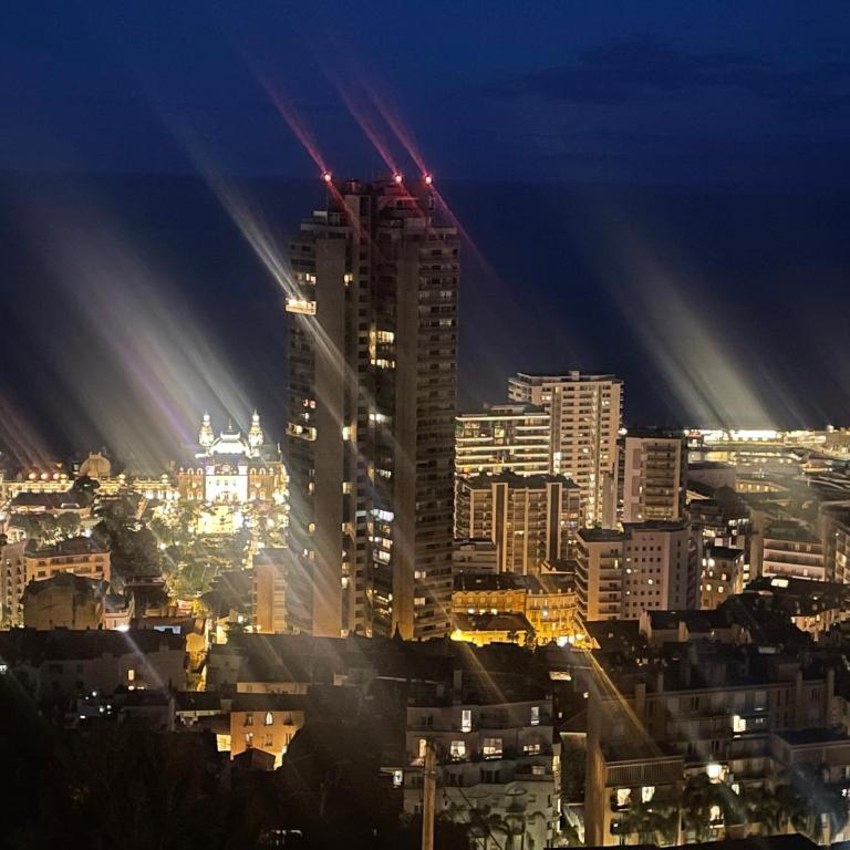 Stunning Monaco View Large Terrace 70 sqm - Appartement 3 Chambres - 40
