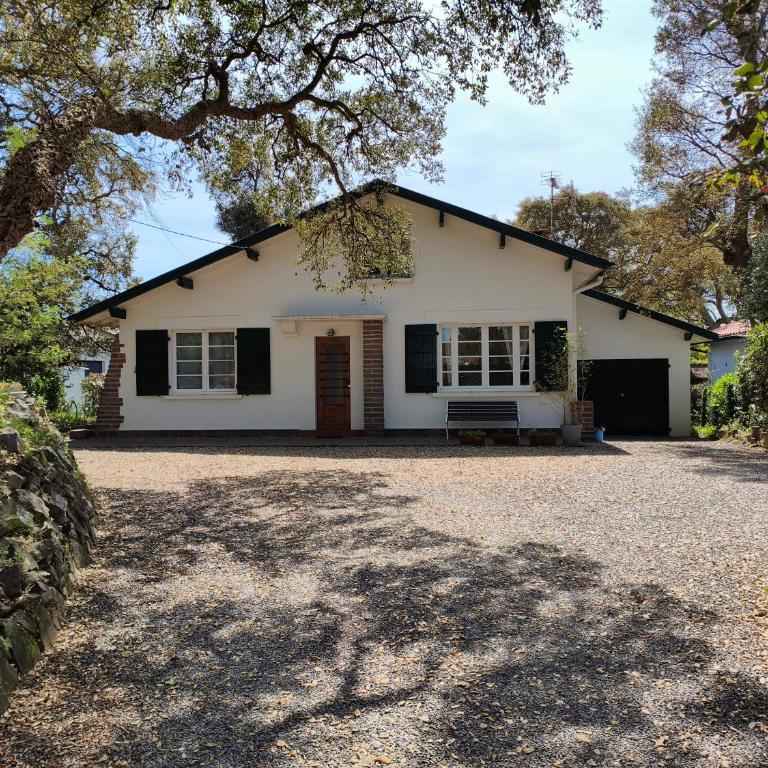 Charming villa near Hossegor golf and lake - Villa de 3 dormitorios - 1