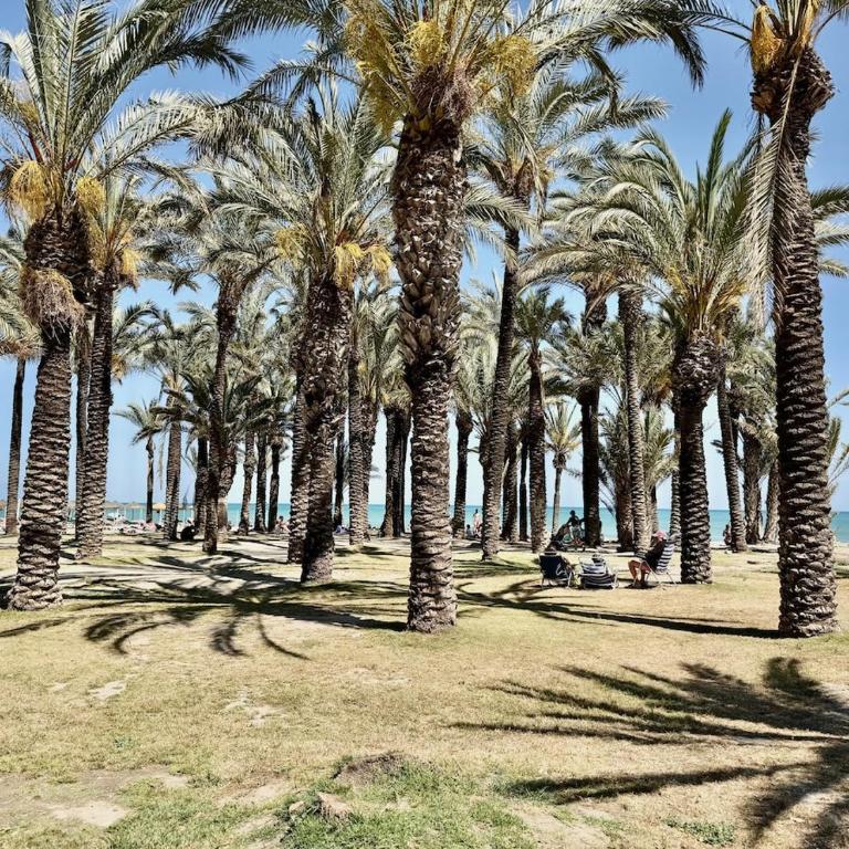 A1 - Apartamento en La Carihuela, 2 dormitorios, Wifi, a 100 metros de la playa - Apartment - 39