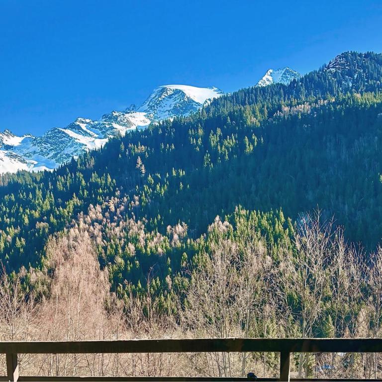Studio premium face au Miage - Télécabines à 2 min à pied - Appartement avec Vue sur la Montagne - 1