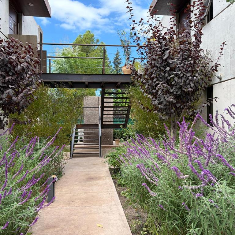 Senshi Encanto en Chacras - Apartamento de 2 dormitorios - 33