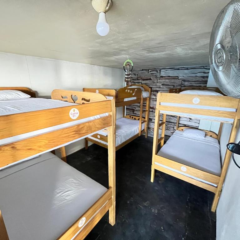 Palo Verde House - Single Bed in Male Dormitory Room - 1