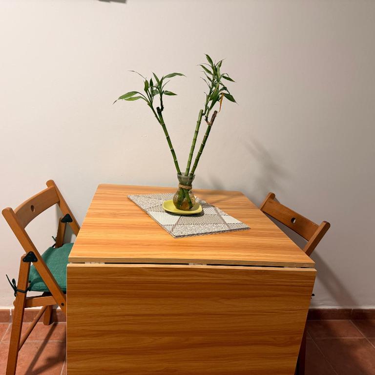 Apartamento Mi Luz - Apartamento de 3 dormitorios - 12