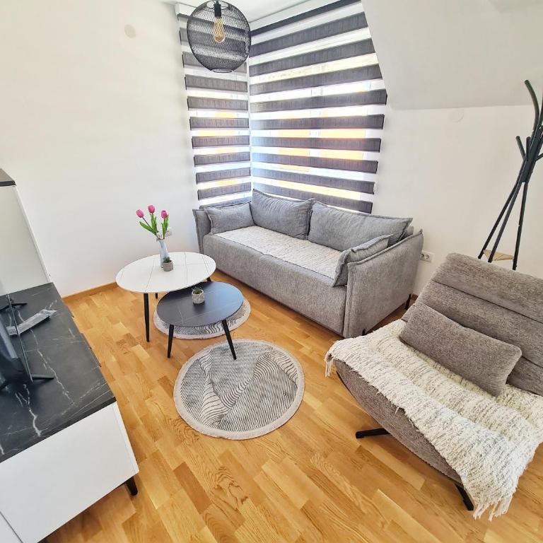 Jefimija Apartman Sokobanja - One-Bedroom Apartment - 20