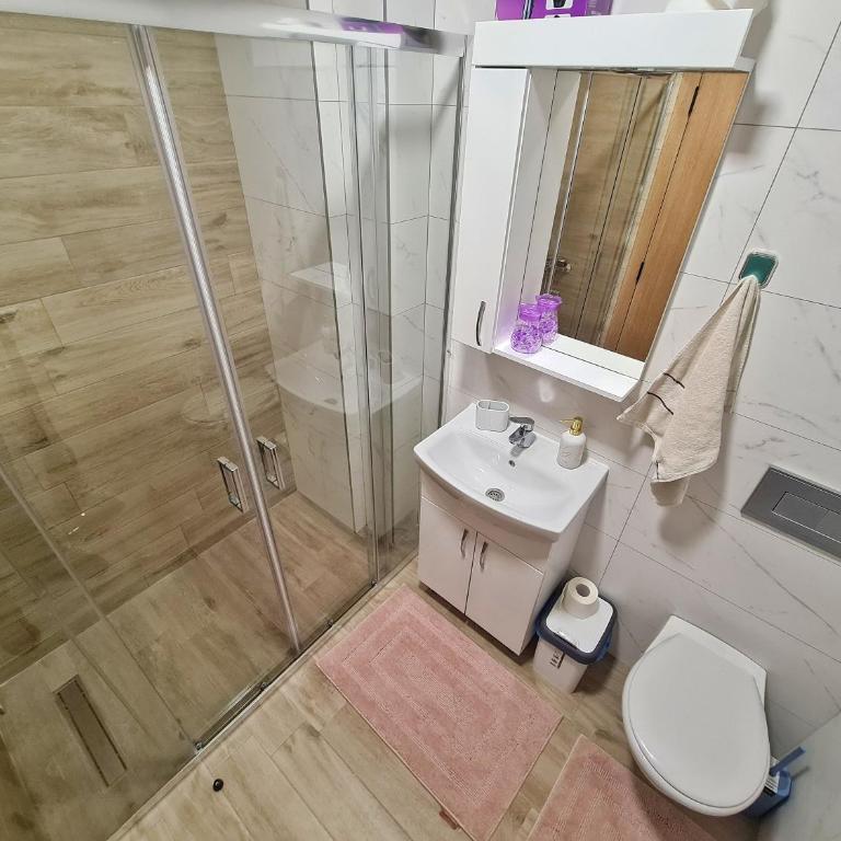 Jefimija Apartman Sokobanja - One-Bedroom Apartment - 17