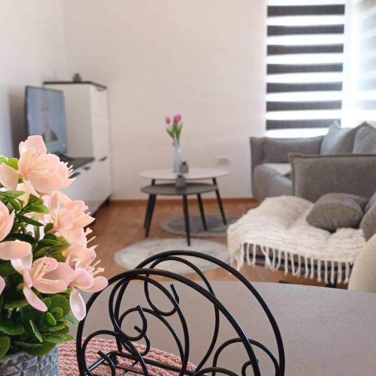 Jefimija Apartman Sokobanja - One-Bedroom Apartment - 21
