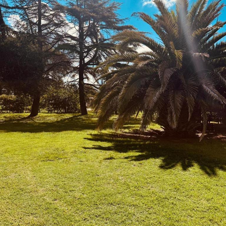 Casa quinta con pileta zona polo club y autodromo RIO IV - Casa de 2 dormitorios - 14