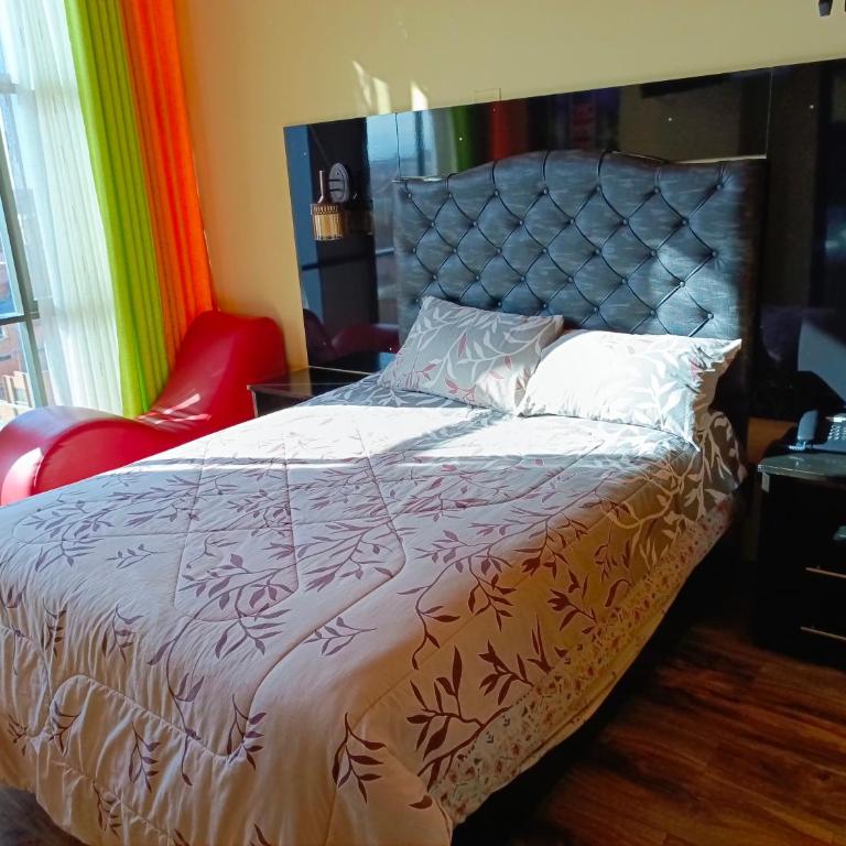 Hotel Aurum EL ALTO - Double Room - 5