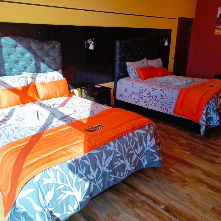 Hotel Aurum EL ALTO - Twin Room - 5