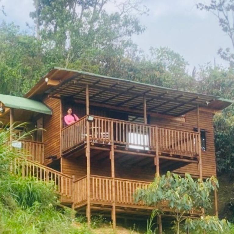 Cabaña Premium - One-Bedroom Apartment - 29