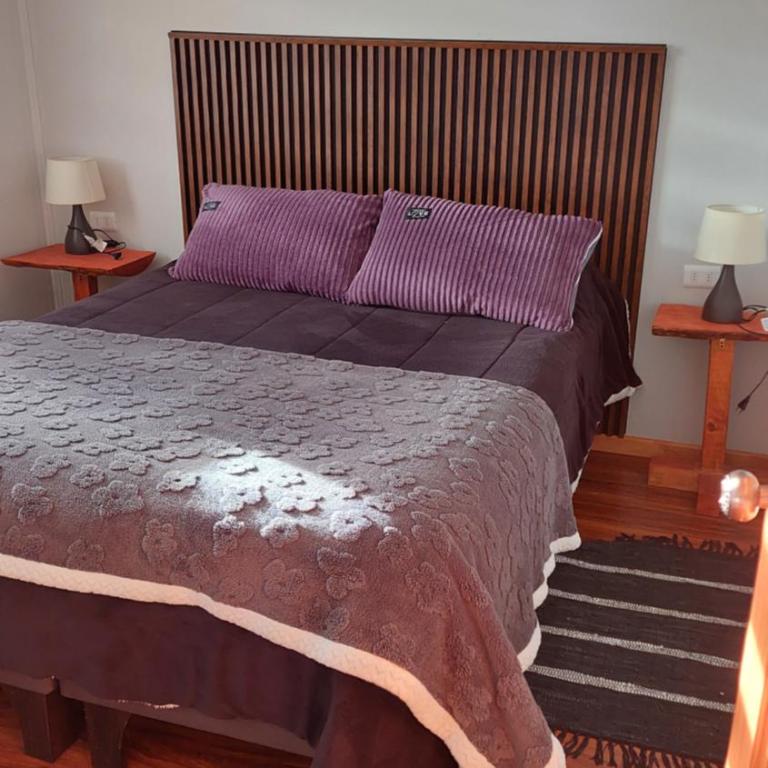 Cabañas Antu Kuyen Patagónica - Two-Bedroom House - 10