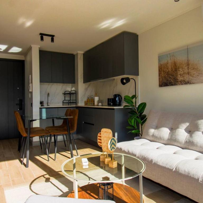 Vista cordillera, A/C, Wifi, GYM, céntrico, O2 - Apartment - 5