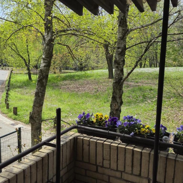 Cerak Haven - Apartman sa 1 Spavaćom Sobom - 13