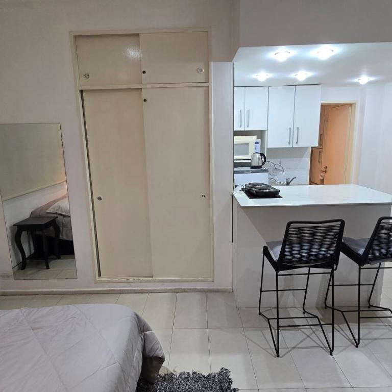 Pellegrini a mts Teatro Colon y Obelisco - Apartamento Estudio - 45