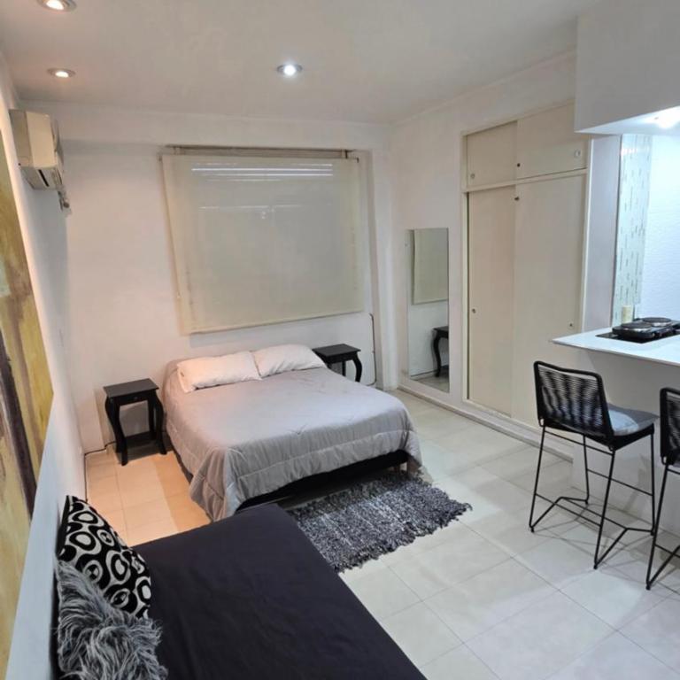 Pellegrini a mts Teatro Colon y Obelisco - Apartamento Estudio - 1