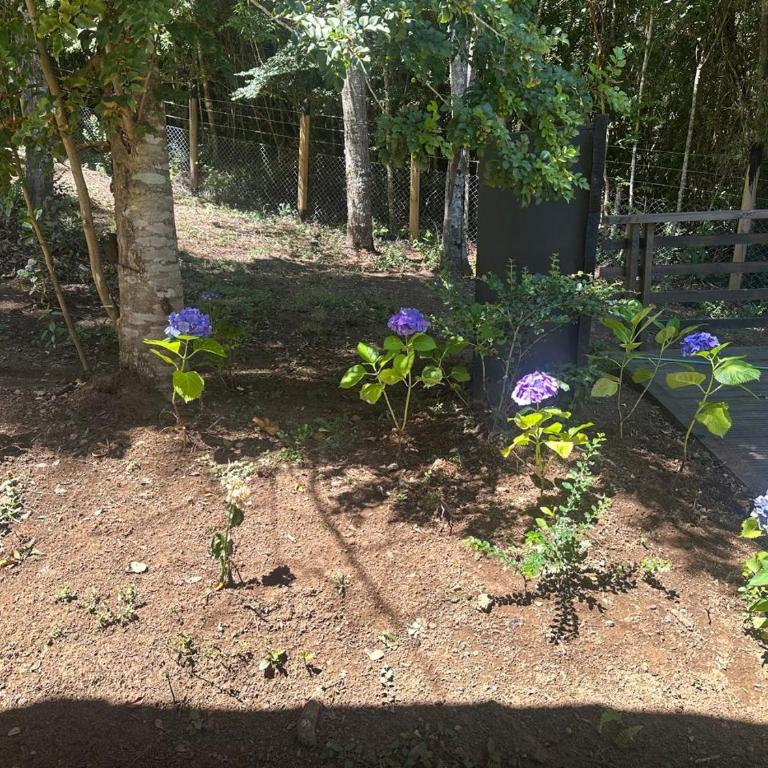 Casa Zero - Vacation Home - 16