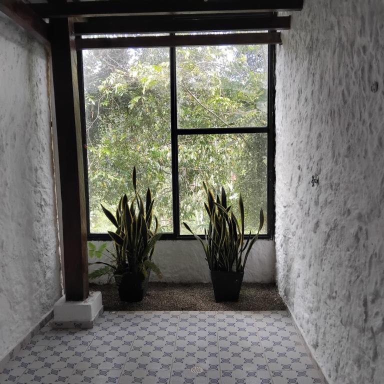 The Temple Retreat, Fin del Mundo - Villa con piscina privada - 16