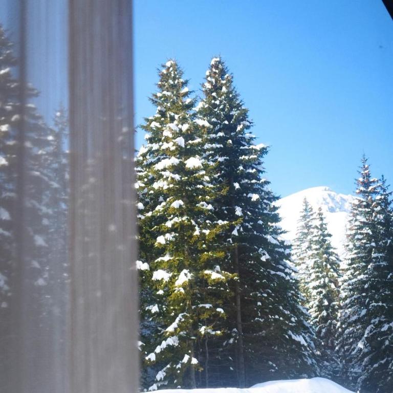 The Pine Nook - Haus mit 2 Schlafzimmern - 20