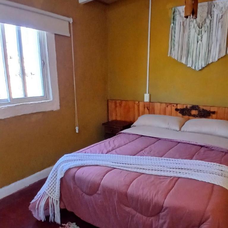 Hospedaje La Casona de los Paredones - Double Room with Garden View - 6